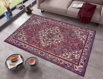 Tapis oriental 10