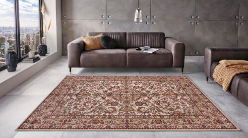 Oriental Design Carpet  Zahra