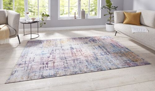 Oriental Design Carpet Contemporary Pastel