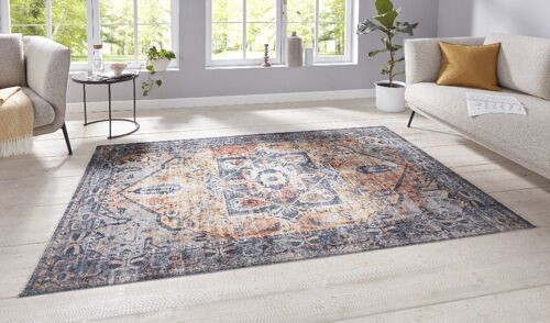 Oriental Design Carpet Heriz Janda