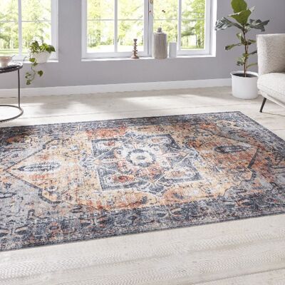 Oriental Design Carpet Heriz Janda
