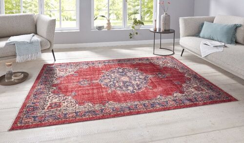 Oriental Design Carpet Sarouk Sangar
