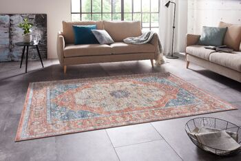 Tapis oriental en viscose Modasa 5