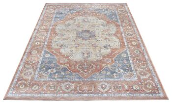 Tapis oriental en viscose Modasa 6