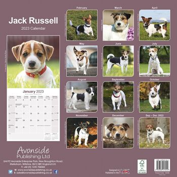 Calendrier 2023 Jack russell 3