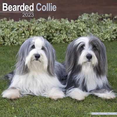 Calendar 2023 Bearded collie
