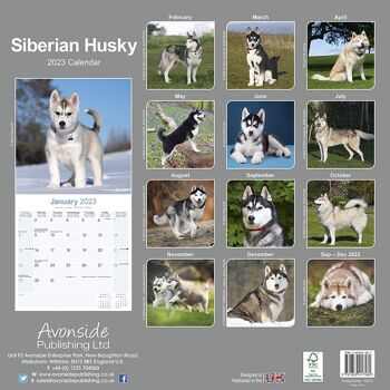 Calendrier 2023 Siberian husky 3