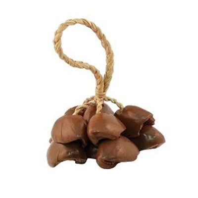 Dried Nuts Shell Rattle