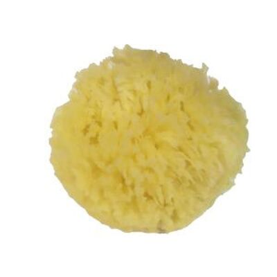 CORAL: Medium natural sponge (diam. 6/8)
