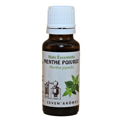 Peppermint essential oil 20 ml HEBBD