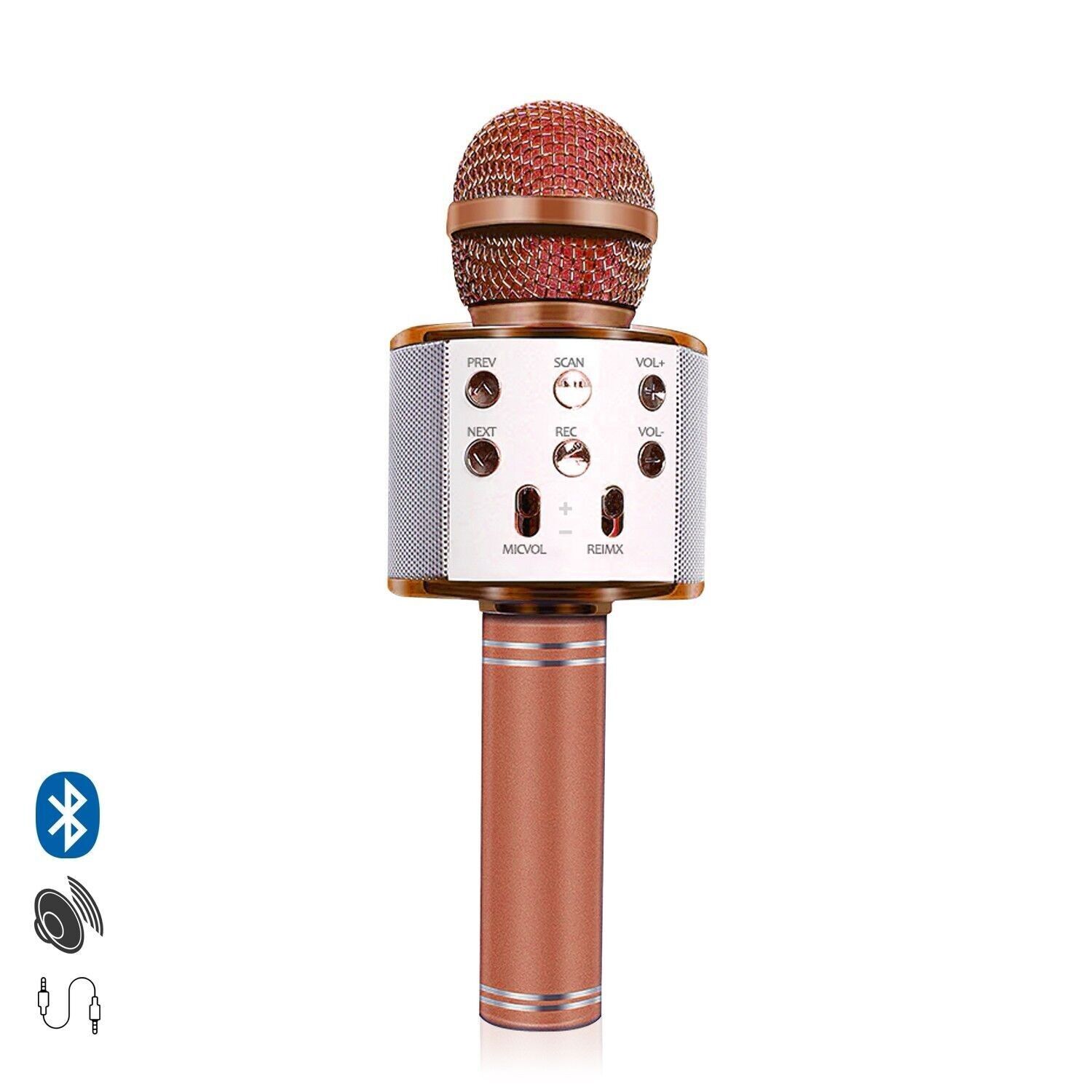 Karaoke microphone rose discount gold