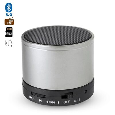 Martins Bluetooth 3.0 3W compact speaker, with hands-free and FM radio. Silver