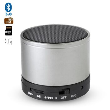 Enceinte compacte Martins Bluetooth 3.0 3W, avec mains libres et radio FM. Argent 1