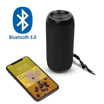 Haut-parleur Bluetooth portable A117. Lecteur USB, micro SD, radio FM et mains libres. Entrée auxiliaire jack 3,5 mm. Le noir 2
