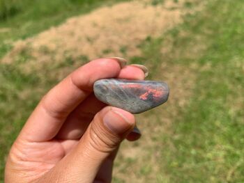 Labradorite, pierre roulée - Lot de 5 pierres 8