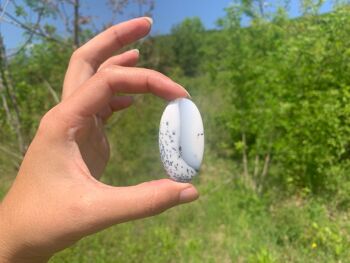 Agate dendritique 34 2