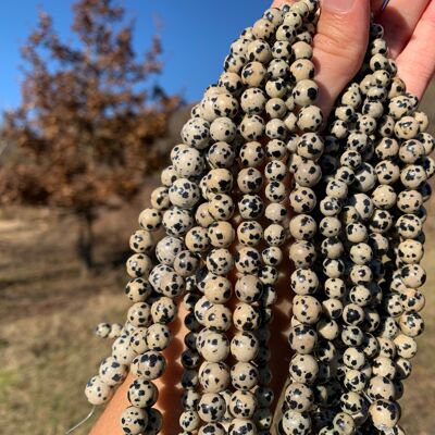Perles en jaspe dalmatien entre 4 et 12mm - 10mm
