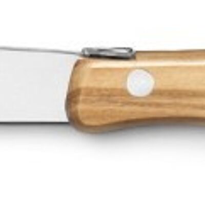 Berlingot cheese knife olive wood handle