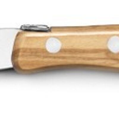 Berlingot spreading knife olive wood handle