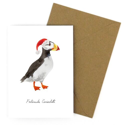 Horned Puffin Christmas Greeting Card