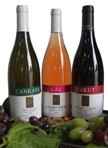 Vin blanc CANKAYA 2022 - Maison de vin turque 2
