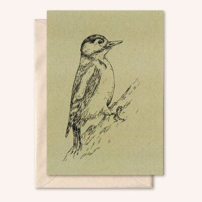 Sustainable card + envelope | woodpecker | Sage