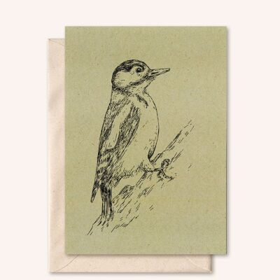 Sustainable card + envelope | woodpecker | Sage