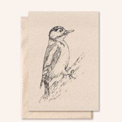 Tarjeta sostenible + sobre | pájaro carpintero | flor de saúco