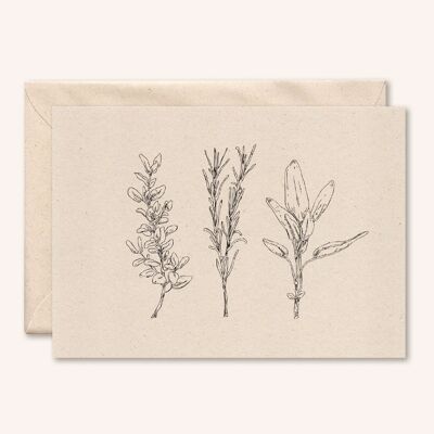 Sustainable card + envelope | Herbs | elderflower