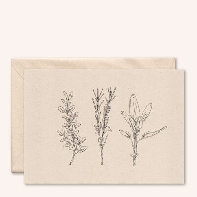 Carte + enveloppe durable | Herbes | fleur de sureau