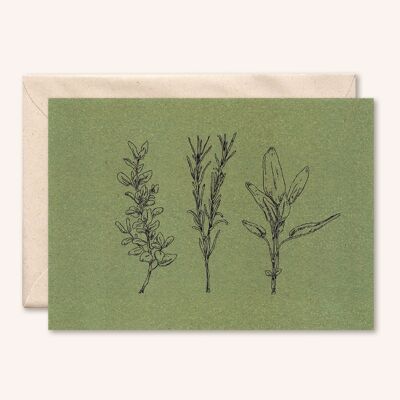 Carte + enveloppe durable | Herbes | feuille d'olive