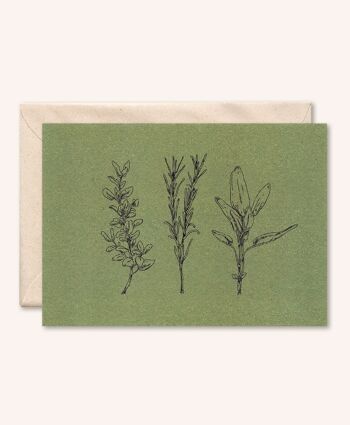 Carte + enveloppe durable | Herbes | feuille d'olive 1