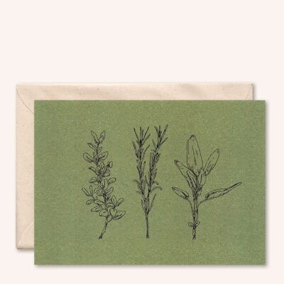 Sustainable card + envelope | Herbs | olive leaf