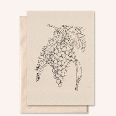 Tarjeta sostenible + sobre | Uvas | flor de saúco