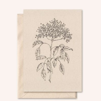 Tarjeta sostenible + sobre | Flor de saúco | flor de saúco