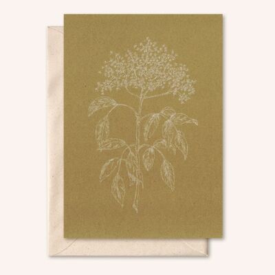 Sustainable card + envelope | Elderflower | Cardboard