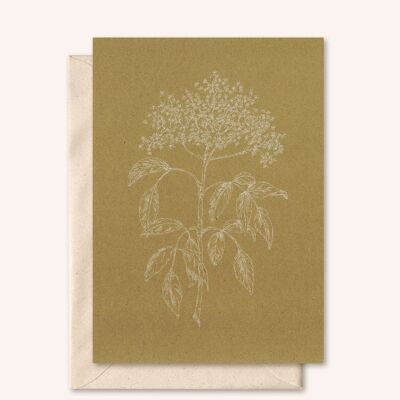 Nachhaltige Karte + Umschlag | Holunderblüte | Karton