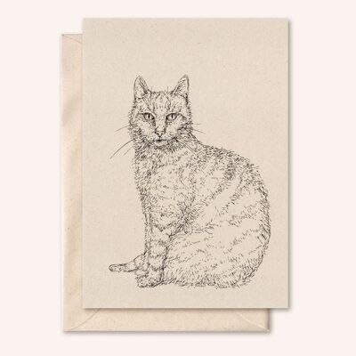 Sustainable card + envelope | cat | elderflower