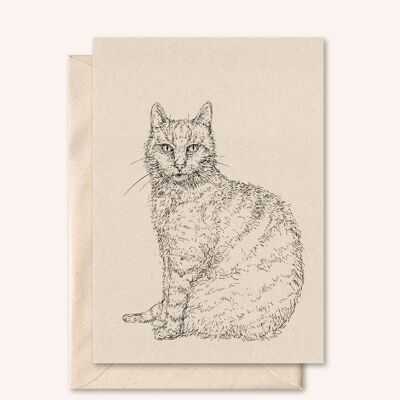 Carte + enveloppe durable | chat | fleur de sureau