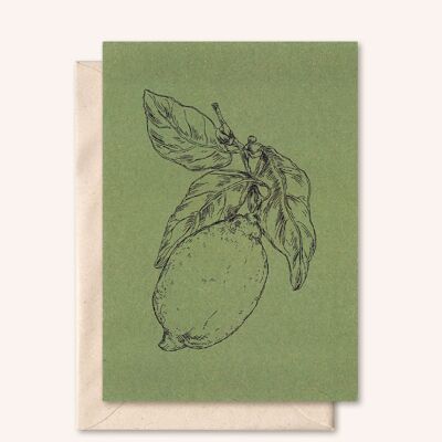 Tarjeta sostenible + sobre | limón | hoja de olivo