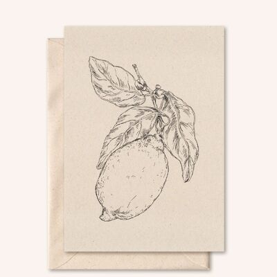Carte + enveloppe durable | citron | fleur de sureau