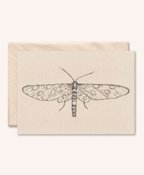 Duurzame kaart + envelop | Vlinder | Vlierbloesem