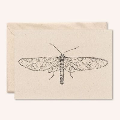Carte + enveloppe durable | Papillon | fleur de sureau