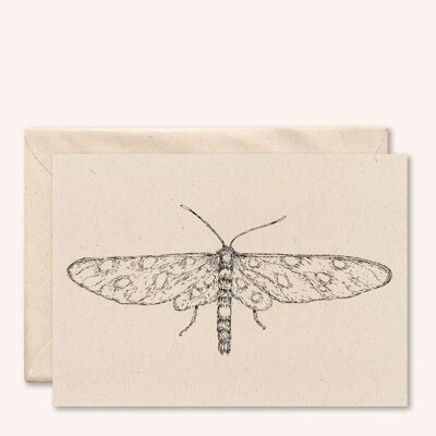 Nachhaltige Karte + Umschlag | Schmetterling | Holunder
