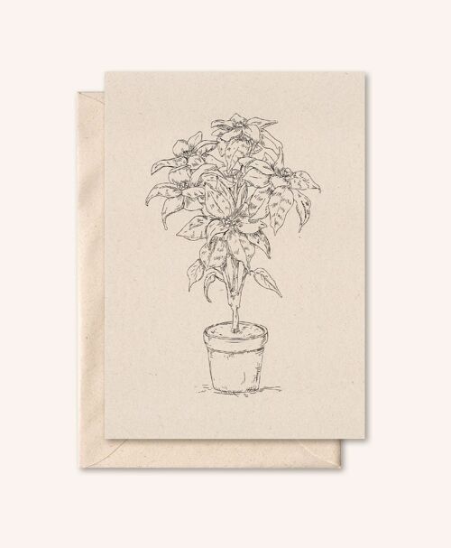 Duurzame kaart + envelop | Plant | Vlierbloesem