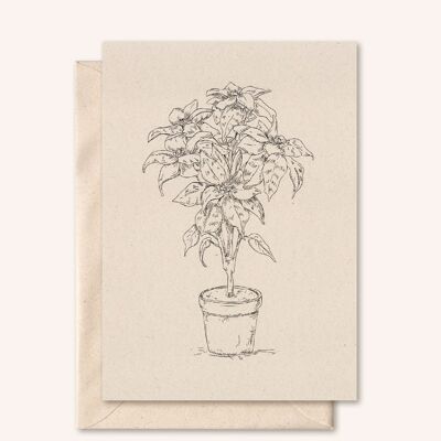 Tarjeta sostenible + sobre | Planta | flor de saúco