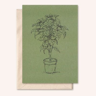 Nachhaltige Karte + Umschlag | Pflanze | Olivenblatt