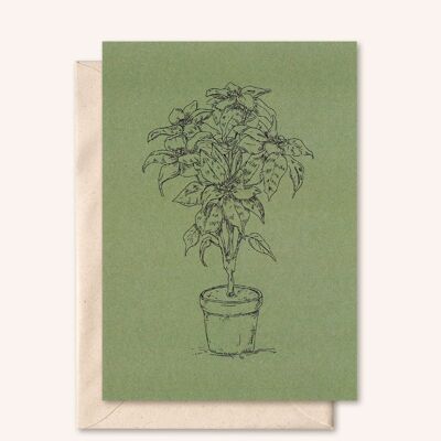 Duurzame kaart + envelop | Plant | Olijfblad
