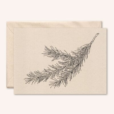 Carte + enveloppe durable | Branche de pin | fleur de sureau