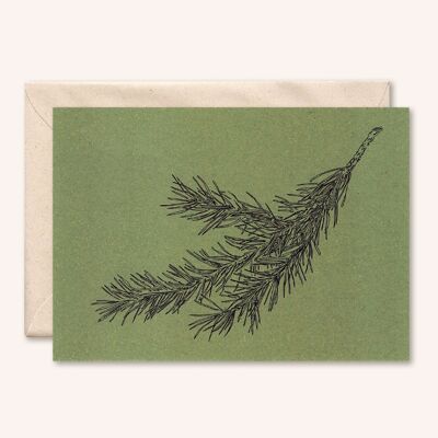 Carta sostenibile + busta | Ramo di pino | foglia d'ulivo